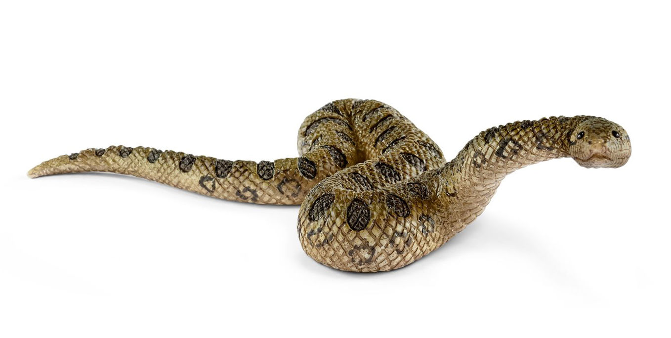 Семена Огурцов Анаконда Купить